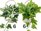 Aritifical plant w/ hanging pot, ivy, 2 assort, 6.30 x 8.66 x h15.75 in, 12pks